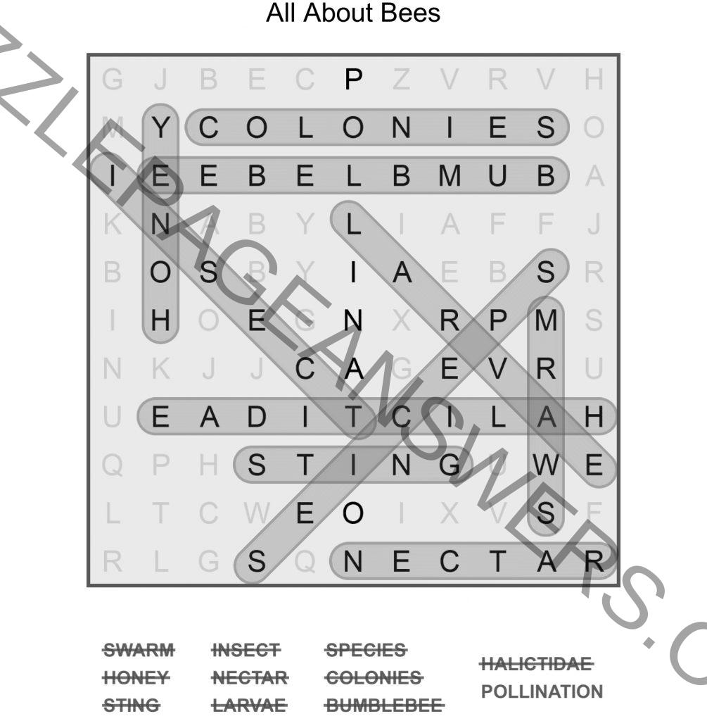 Puzzle Page Word Search October 21 2022 Answers