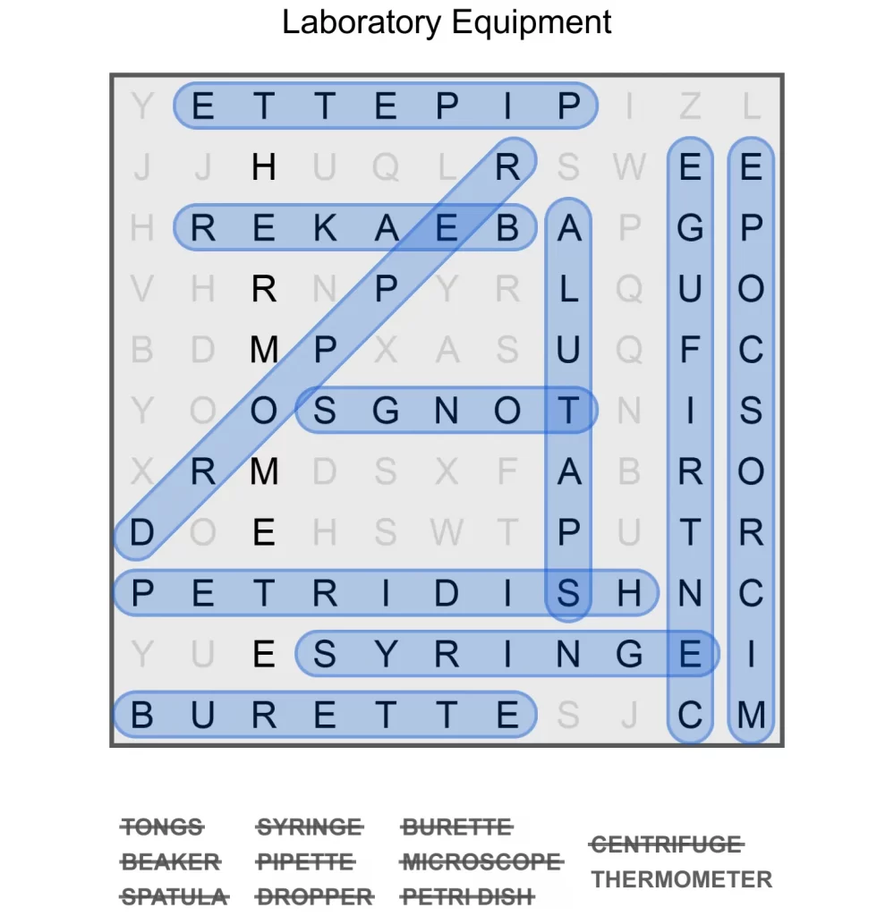 Puzzle Page Word Search December 27 2024 Answers